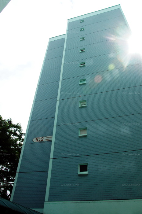 Blk 102 Gangsa Road (Bukit Panjang), HDB 3 Rooms #212402